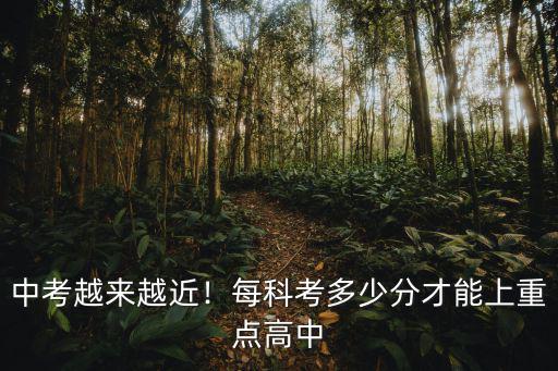 保定望都中考多少分能上重點(diǎn)高中,中考考多少分能上高中