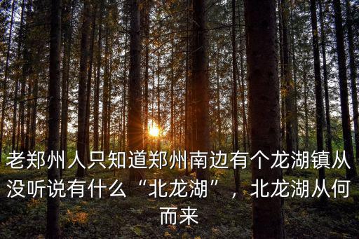 老鄭州人只知道鄭州南邊有個龍湖鎮(zhèn)從沒聽說有什么“北龍湖”，北龍湖從何而來
