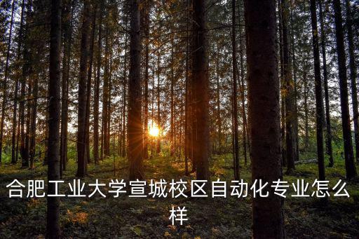 合肥工業(yè)大學宣城校區(qū)自動化專業(yè)怎么樣