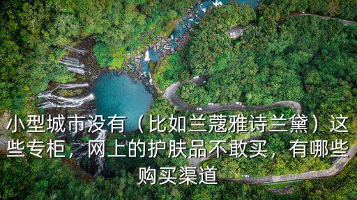 小型城市沒有（比如蘭蔻雅詩(shī)蘭黛）這些專柜，網(wǎng)上的護(hù)膚品不敢買，有哪些購(gòu)買渠道