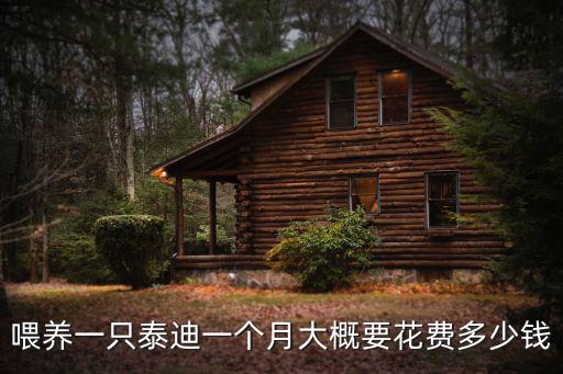 喂養(yǎng)一只泰迪一個月大概要花費多少錢