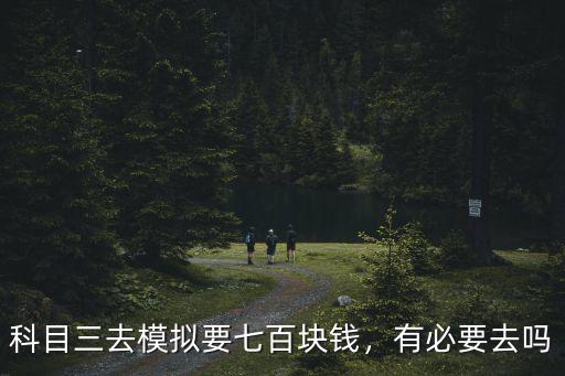 模擬科目三要多少錢合肥,科目二模擬費500