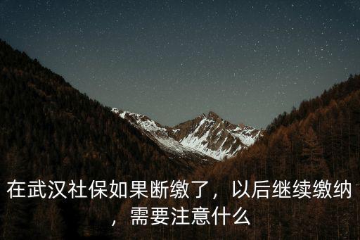 在武漢社保如果斷繳了，以后繼續繳納，需要注意什么