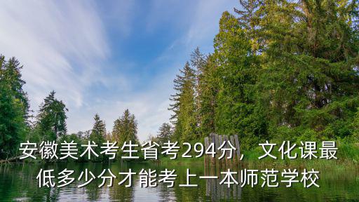 安徽美術考生省考294分，文化課最低多少分才能考上一本師范學校