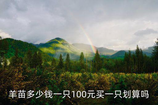 張家口綿羊苗10只多少錢,羊苗多少錢一只