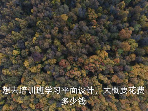 石家莊平面設計培訓班費用多少,想去培訓班學習平面設計
