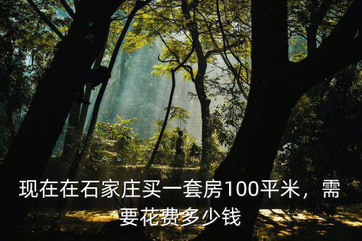 現在在石家莊買一套房100平米，需要花費多少錢