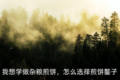 許昌哪里賣雜糧煎餅鍋,賣雜糧煎餅一天能賺多少錢呢