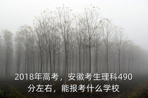 2018年高考，安徽考生理科490分左右，能報考什么學校