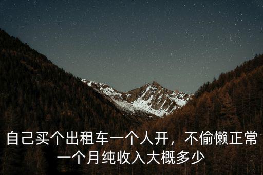 自己買個出租車一個人開，不偷懶正常一個月純收入大概多少