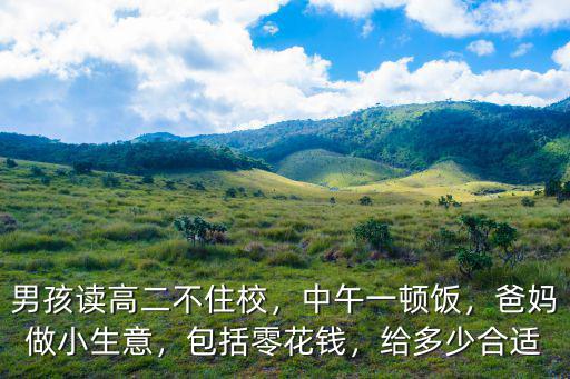 男孩讀高二不住校，中午一頓飯，爸媽做小生意，包括零花錢，給多少合適