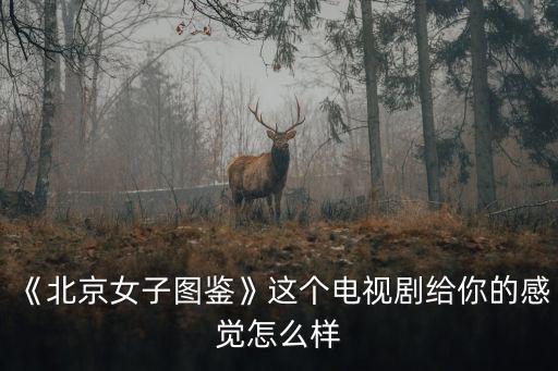 《北京女子圖鑒》這個電視劇給你的感覺怎么樣