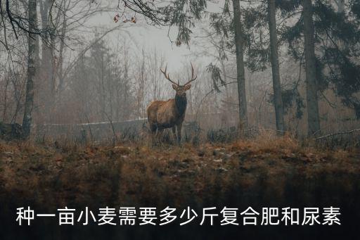 種一畝小麥需要多少斤復合肥和尿素