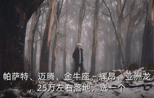 帕薩特、邁騰、金牛座、輝昂、亞洲龍，25萬左右落地，選一個