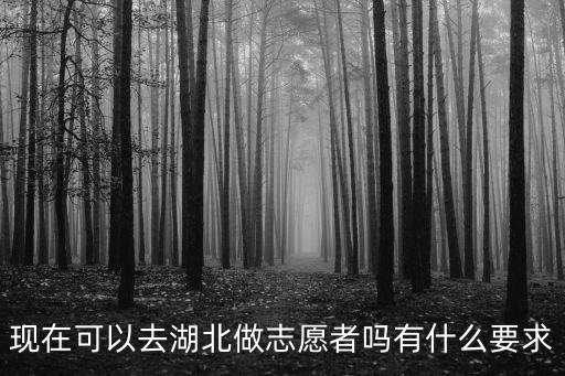 怎么樣能去湖北做志愿者,現在可以去湖北做志愿者嗎