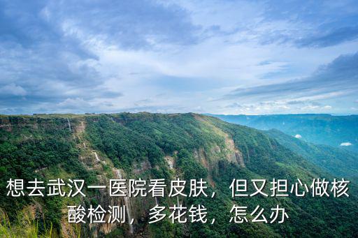 想去武漢一醫(yī)院看皮膚，但又擔心做核酸檢測，多花錢，怎么辦