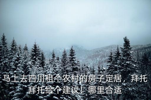 四川農村王四家在哪里,四川農村發展怎么樣