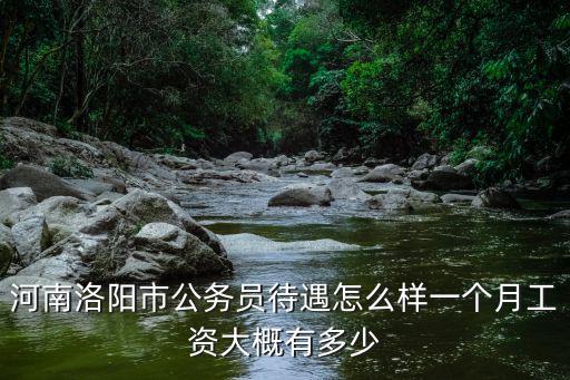 河南柴油機待遇怎么樣,河南公務員工資待遇怎么樣