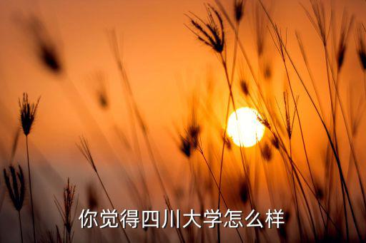 四川大學哪里人多,四川大學排名是多少