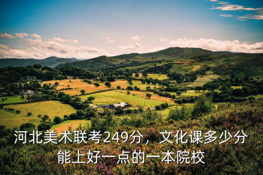 河北美術校考多少分錄取,河北美術聯考249分