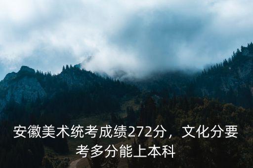 安徽美術統考成績272分，文化分要考多分能上本科