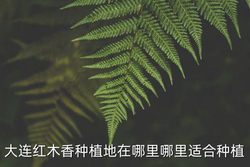眉山紅木香基地在哪里,哪里適合種植