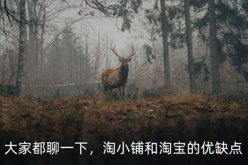 大家都聊一下，淘小鋪和淘寶的優(yōu)缺點