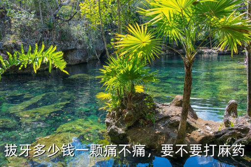 拔牙多少錢一顆痛不痛，要不要打麻藥