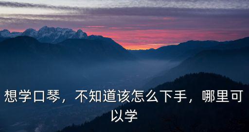 想學口琴，不知道該怎么下手，哪里可以學