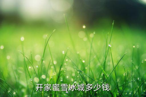 開家蜜雪冰城多少錢