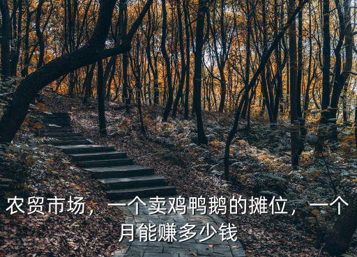 銅陵市菜市場有攤位多少錢一個月,一個月能賺多少錢
