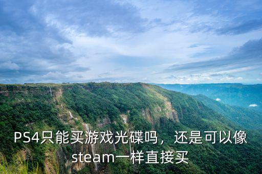 PS4只能買游戲光碟嗎，還是可以像steam一樣直接買