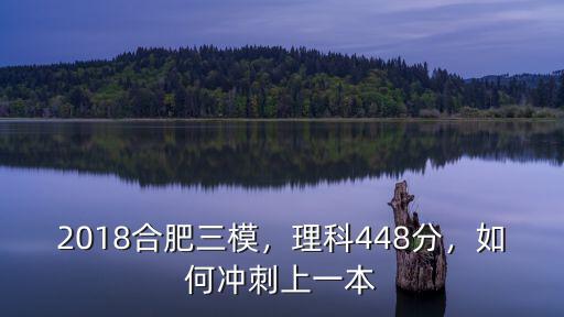 2018合肥三模，理科448分，如何沖刺上一本