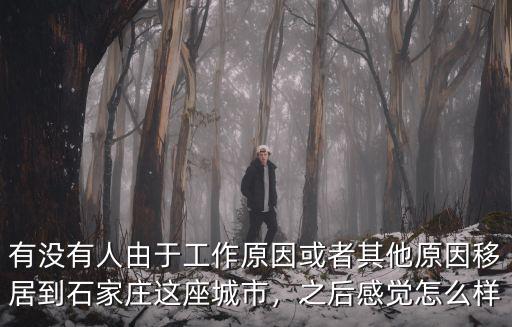 有沒有人由于工作原因或者其他原因移居到石家莊這座城市，之后感覺怎么樣
