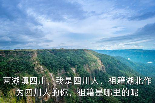 兩湖填四川，我是四川人，祖籍湖北作為四川人的你，祖籍是哪里的呢
