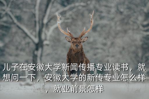 兒子在安徽大學新聞傳播專業讀書，就想問一下，安徽大學的新傳專業怎么樣，就業前景怎樣