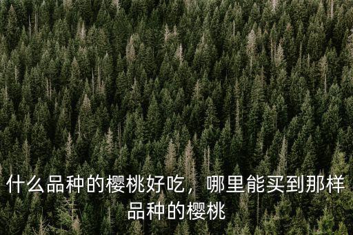 什么品種的櫻桃好吃，哪里能買到那樣品種的櫻桃