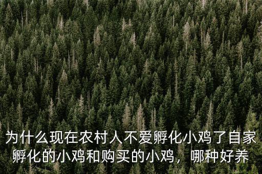 宜賓市哪里有小雞孵化器,沒有孵化器怎么孵小雞