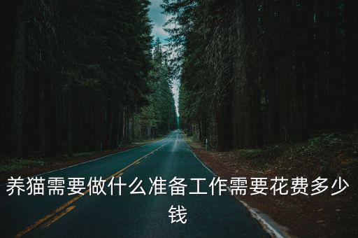 衡水貓砂盆設計需要多少錢,需要花費多少錢