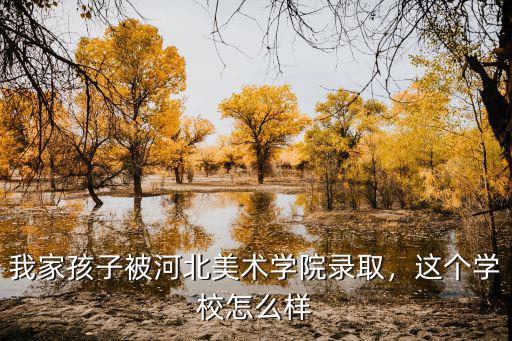 河北美院多少分可錄取,我家孩子被河北美術(shù)學(xué)院錄取