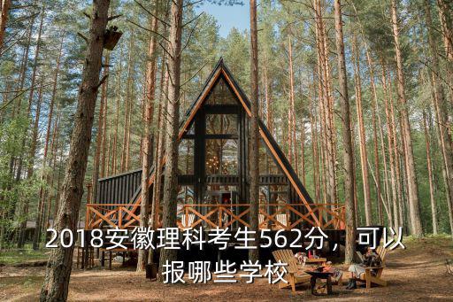 安徽理科2018考生多少,安徽考生理科490分左右