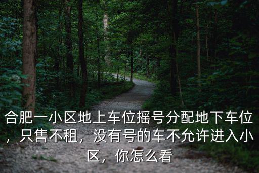合肥一小區地上車位搖號分配地下車位，只售不租，沒有號的車不允許進入小區，你怎么看
