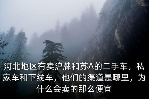 河北地區有賣滬牌和蘇A的二手車，私家車和下線車，他們的渠道是哪里，為什么會賣的那么便宜