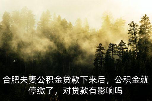 合肥公積金夫妻一共貸多少,公積金就停繳了