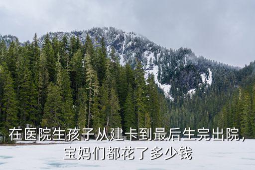 在廊坊從懷孕到生小孩的費(fèi)用是多少錢(qián),從懷孕到生孩子