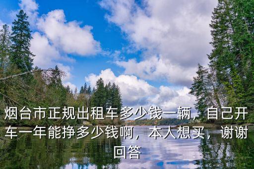煙臺市正規出租車多少錢一輛，自己開車一年能掙多少錢啊，本人想買，謝謝回答
