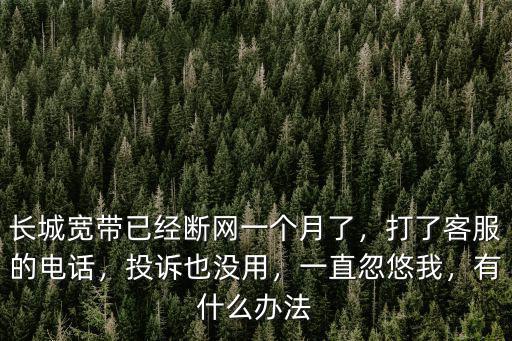 長城寬帶已經斷網一個月了，打了客服的電話，投訴也沒用，一直忽悠我，有什么辦法