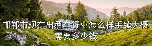邯鄲市現(xiàn)在出租車行業(yè)怎么樣手續(xù)大概需要多少錢