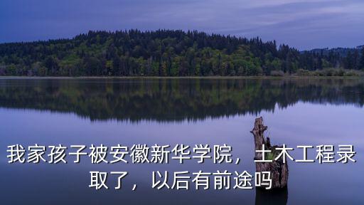 安徽新華學(xué)院貸款多少,我家孩子被安徽新華學(xué)院