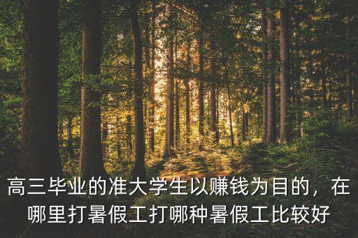 高三畢業的準大學生以賺錢為目的，在哪里打暑假工打哪種暑假工比較好